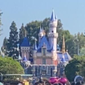 Meet your Posher, Sofia